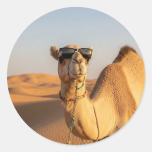 Camel with sunglasses Saudi Arabia Travel Classic Round Sticker