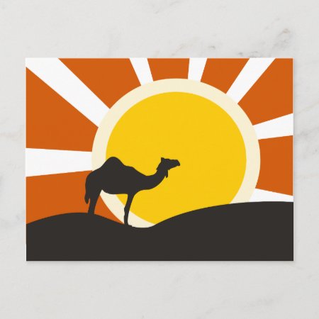 Camel With Sunset Postcard