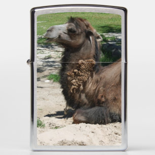 Camel Zippo lighter