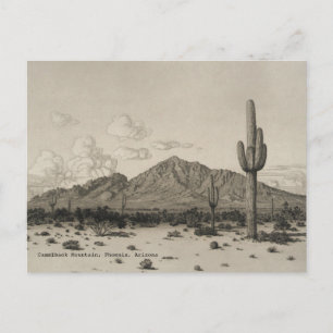 Camelback Mountain Saguaro Cactus Black & White Postcard