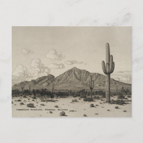 Camelback Mountain Saguaro Cactus Black  White  Postcard