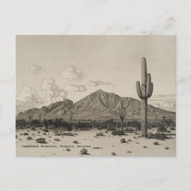 Camelback Mountain Saguaro Cactus Black & White  Postcard (Front)