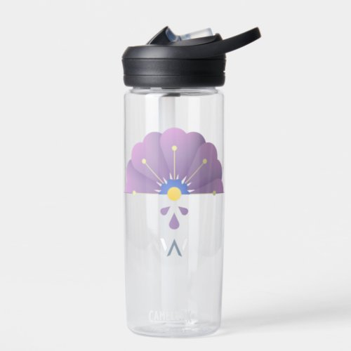 Camelback Water Bottle _ Ombre _ old
