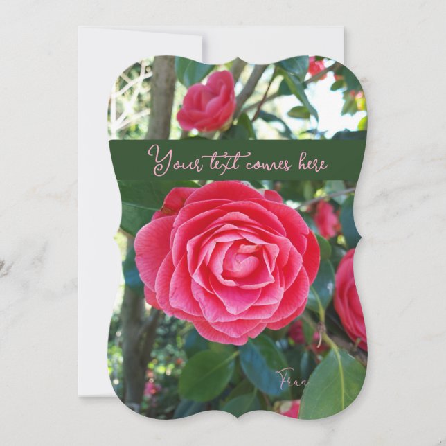 camelia note card (Front)