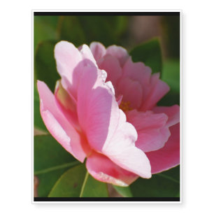 Camelia Temporary Tattoos