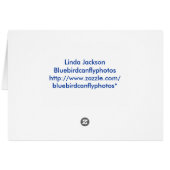 Camelia, white cards (Back Horizontal)