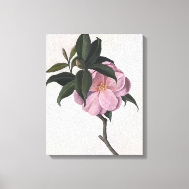 Camellia 1998 canvas print (Front)