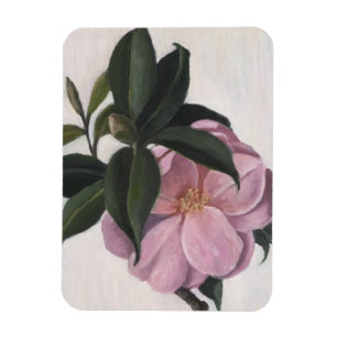 Camellia 1998 magnet