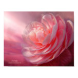 Camellia Art Poster/Print Poster