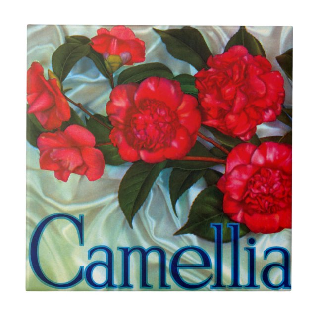 Camellia Brand Orange Label Ceramic Tile (Front)