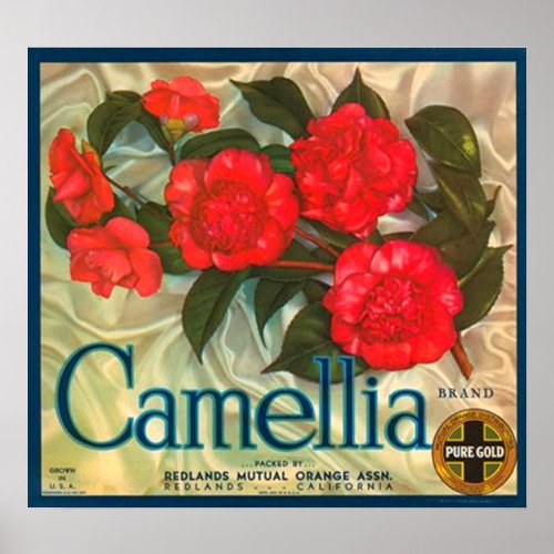Camellia Brand Oranges Crate Label Poster