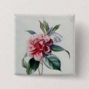 Camellia Button
