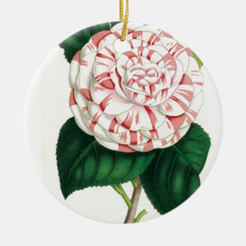 Camellia Ceramic Ornament