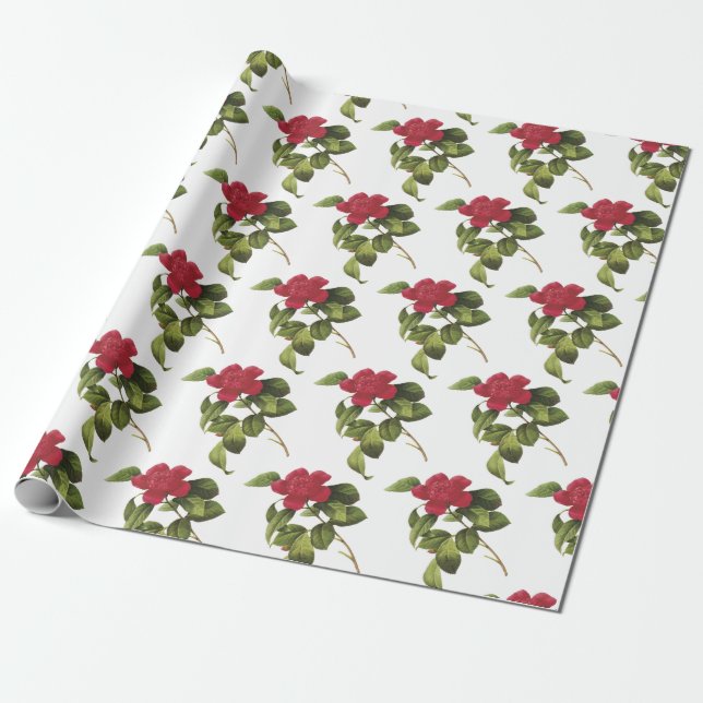 Camellia Flower Pattern Wrapping Paper (Unrolled)