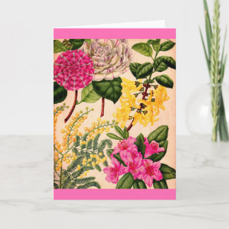 camellia, forsythia, rhododendron and acacia card