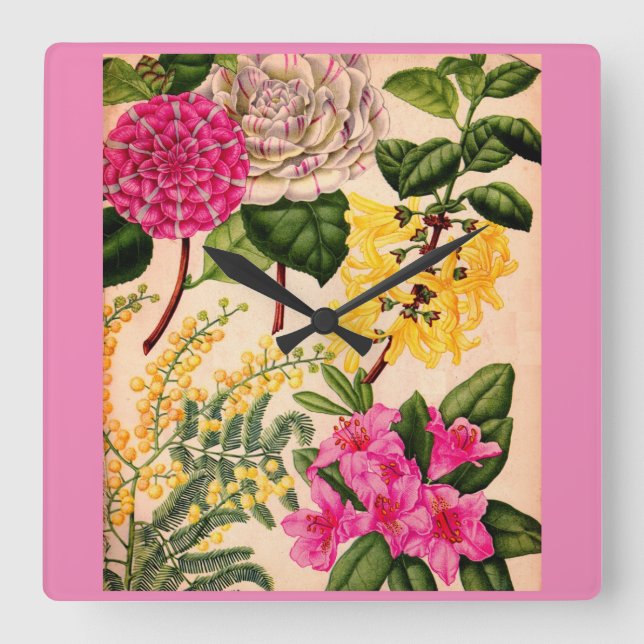 camellia, forsythia, rhododendron and acacia square wall clock (Front)