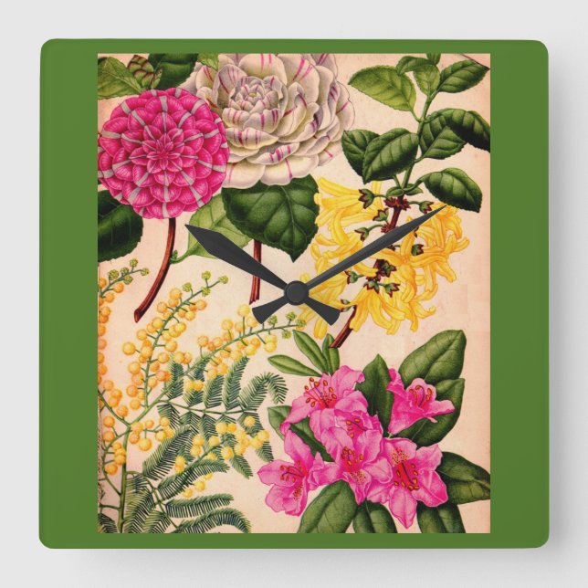 camellia, forsythia, rhododendron and acacia square wall clock (Front)