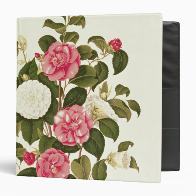 Camellia  from "A Monograph on the Genus' Binder (Front/Inside)