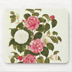 Camellia from "A Monograph on the Genus' Mouse Pad