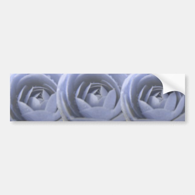 Camellia Frozen Beauty Bumper Sticker (Front)