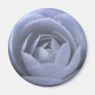 Camellia Frozen Beauty Magnet