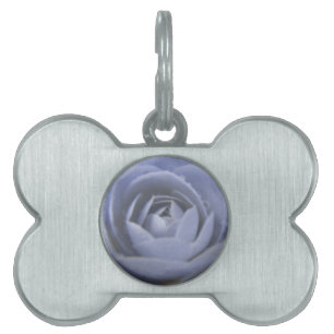 Camellia Frozen Beauty Pet Tag
