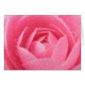 Camellia Greeting Card (Front Horizontal)