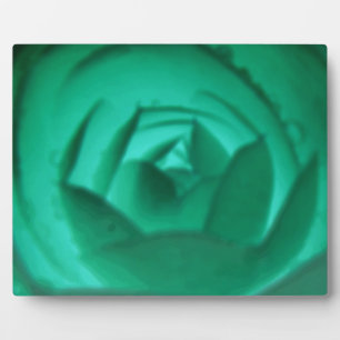 Camellia Hypnotic Plaque