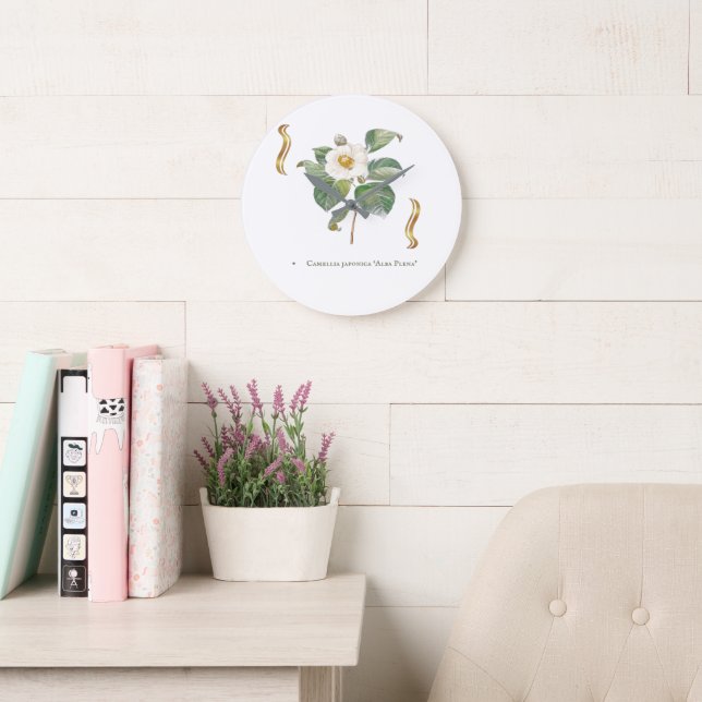 Camellia japonica 'Alba Plena' is a cultivar known Large Clock (Reading Room)
