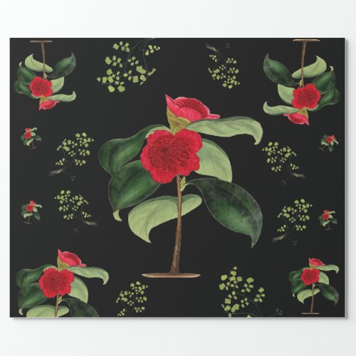 Camellia Japonica at midnight wrapping paper
