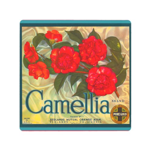 Camellia Oranges packing label Metal Print