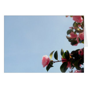 Camellia Pink Flower Blue Sky Cards