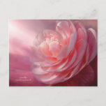 Camellia Postcard