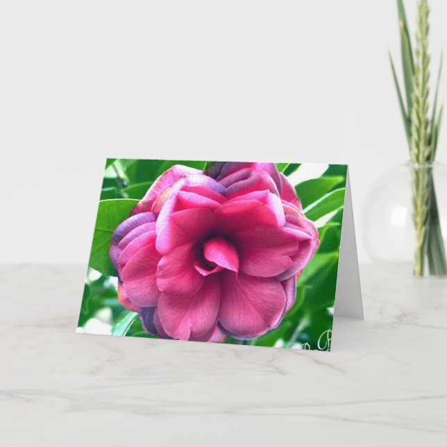 Camellia Stationary Correspondence Card (Front)