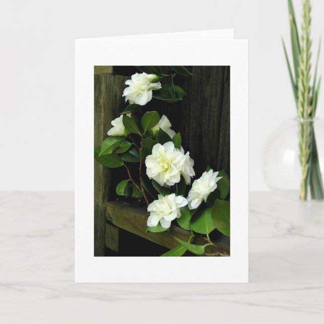 CAMELLIAS CARD (Front)