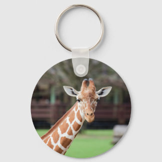 Camelopard (giraffe) keychain