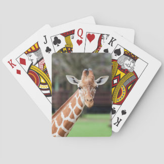 Camelopard (giraffe) poker cards