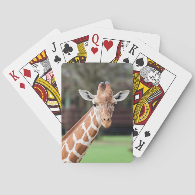 Camelopard (giraffe) poker cards (Back)