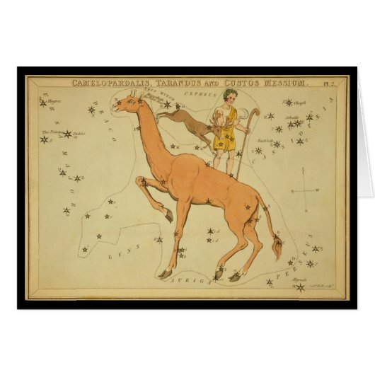 Camelopardalis (Giraffe) Tarandus, Custos Messium Cards (Front Horizontal)
