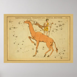Camelopardalis (Giraffe) Tarandus, Custos Messium Poster