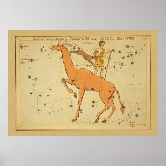 Camelopardalis (Giraffe) Tarandus, Custos Messium Poster (Front)