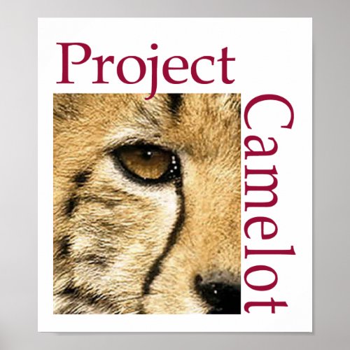 Camelot Logo Poster Project