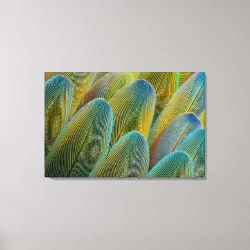 Camelot Macaw Feather Design Canvas Print