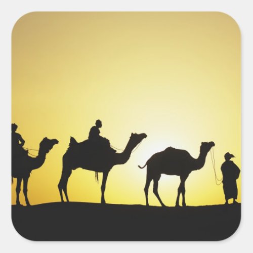 Camels and camel driver silhouetted at sunset 2 square sticker