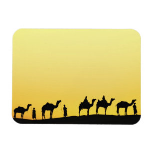 Camels and camel driver silhouetted at sunset, 3 magnet