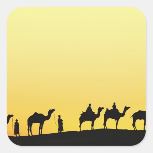 Camels and camel driver silhouetted at sunset 3 square sticker