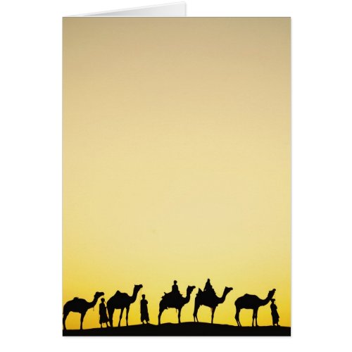 Camels and camel driver silhouetted at sunset 4
