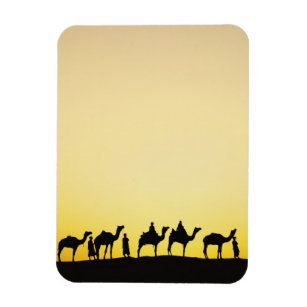 Camels and camel driver silhouetted at sunset, 4 magnet