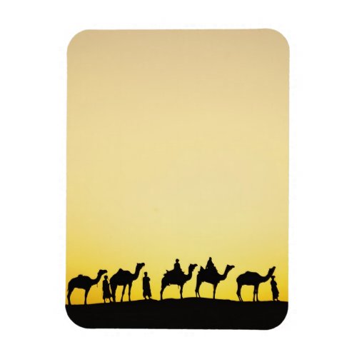 Camels and camel driver silhouetted at sunset 4 magnet