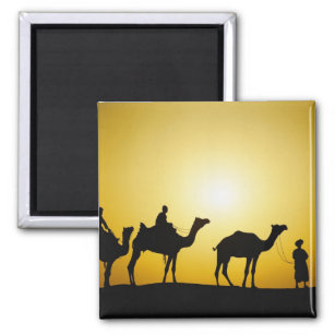 Camels and camel driver silhouetted at sunset, magnet
